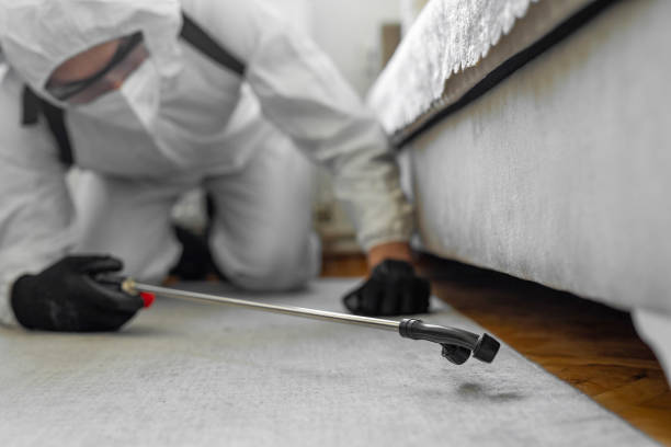 Professional Bed Bug Control technician working in King and Queen County County, VA